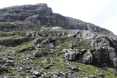 İrlanda 'daki Killarney Ulusal Parkı