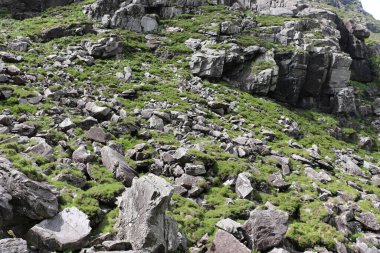 İrlanda 'daki Killarney Ulusal Parkı