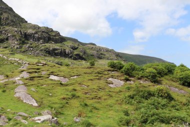 İrlanda 'daki Killarney Ulusal Parkı