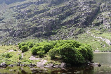 İrlanda 'daki Killarney Ulusal Parkı
