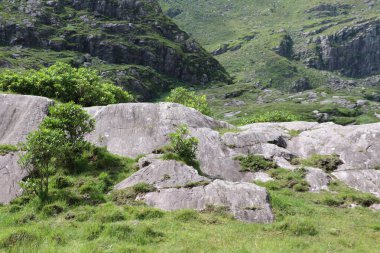 İrlanda 'daki Killarney Ulusal Parkı