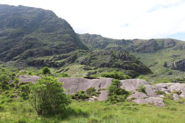 İrlanda 'daki Killarney Ulusal Parkı