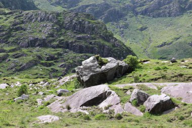 İrlanda 'daki Killarney Ulusal Parkı