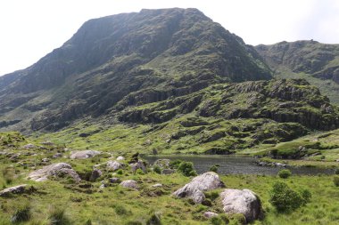 İrlanda 'daki Killarney Ulusal Parkı