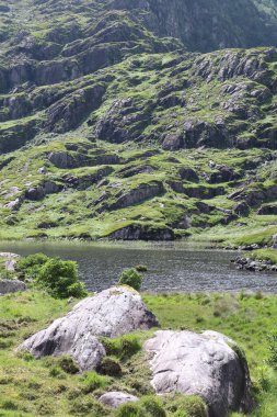 İrlanda 'daki Killarney Ulusal Parkı