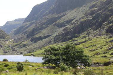 İrlanda 'daki Killarney Ulusal Parkı