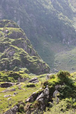 İrlanda 'daki Killarney Ulusal Parkı