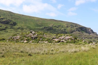 İrlanda 'daki Killarney Ulusal Parkı