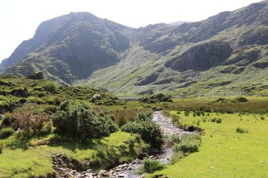 İrlanda 'daki Killarney Ulusal Parkı