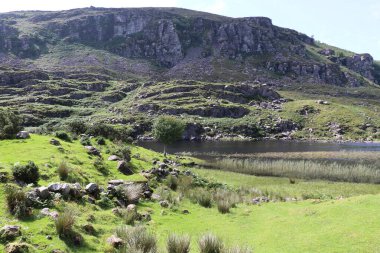 İrlanda 'daki Killarney Ulusal Parkı
