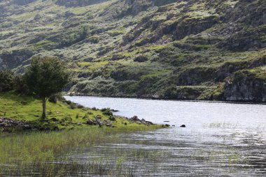 İrlanda 'daki Killarney Ulusal Parkı