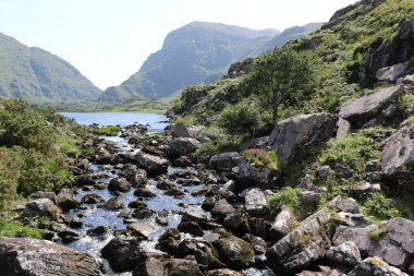 İrlanda 'daki Killarney Ulusal Parkı