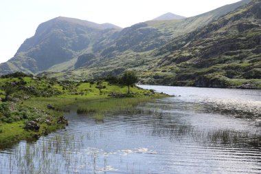 İrlanda 'daki Killarney Ulusal Parkı