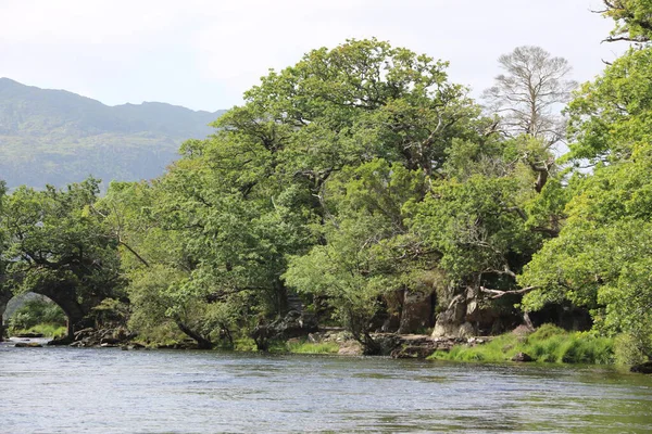 Killarney Ulusal Parkı, İrlanda