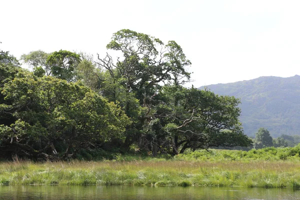 Killarney Ulusal Parkı, İrlanda
