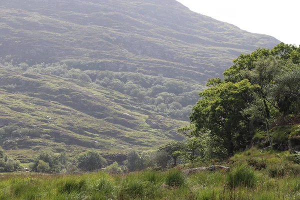 Killarney Ulusal Parkı, İrlanda