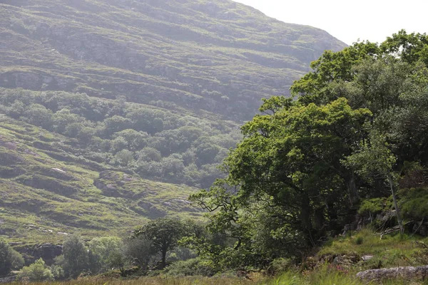 Killarney Ulusal Parkı, İrlanda