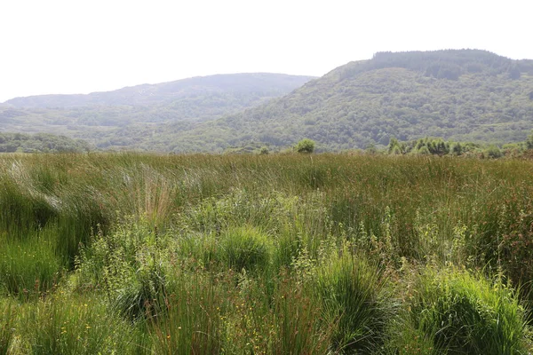 Killarney Ulusal Parkı, İrlanda