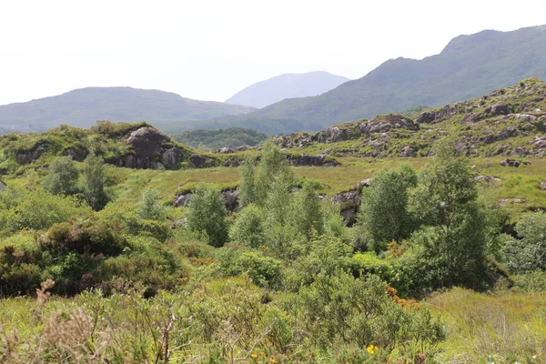Killarney Ulusal Parkı, İrlanda