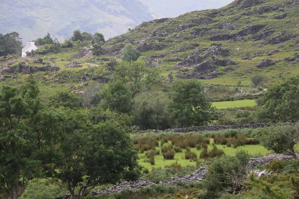 Killarney Ulusal Parkı, İrlanda