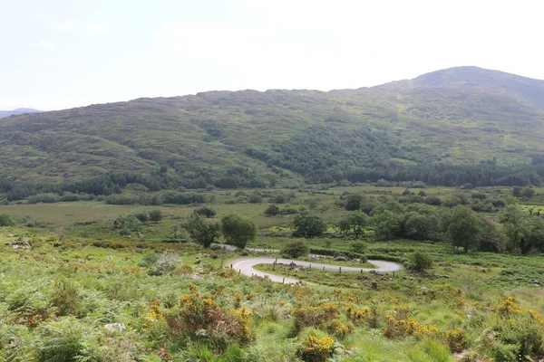 Killarney Ulusal Parkı, İrlanda