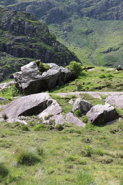 İrlanda 'daki Killarney Ulusal Parkı