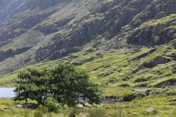 İrlanda 'daki Killarney Ulusal Parkı
