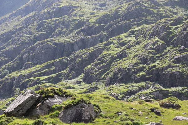 İrlanda 'daki Killarney Ulusal Parkı