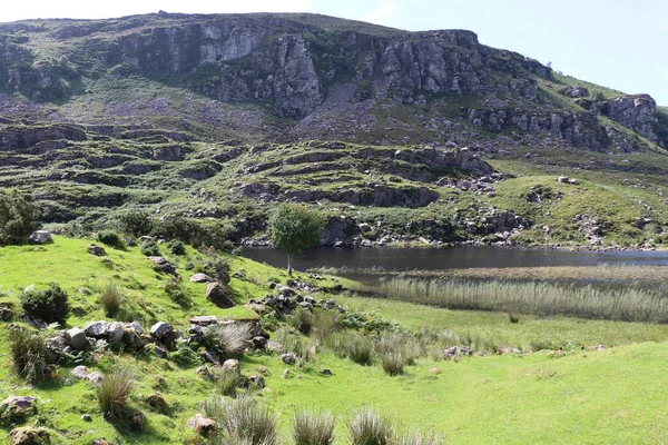 İrlanda 'daki Killarney Ulusal Parkı