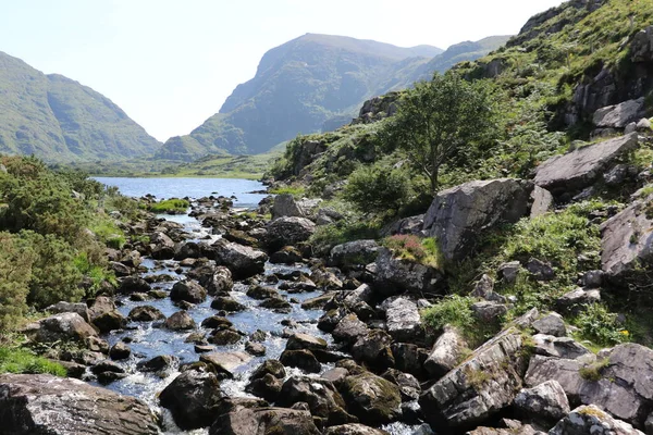 İrlanda 'daki Killarney Ulusal Parkı