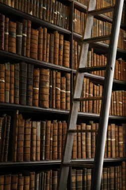 İrlanda, Dublin 'deki Trinity Koleji' nin Eski Kütüphanesi