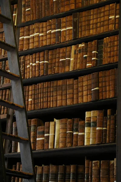 İrlanda, Dublin 'deki Trinity Koleji' nin Eski Kütüphanesi