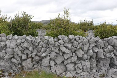 İrlanda 'daki Burren Ulusal Parkı