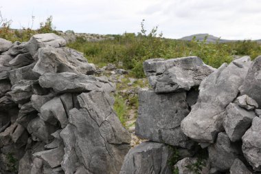İrlanda 'daki Burren Ulusal Parkı