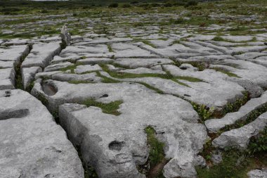 İrlanda 'daki Burren Ulusal Parkı