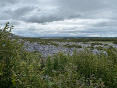 İrlanda 'daki Burren Ulusal Parkı