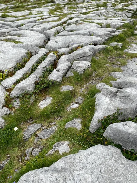 İrlanda 'daki Burren Ulusal Parkı