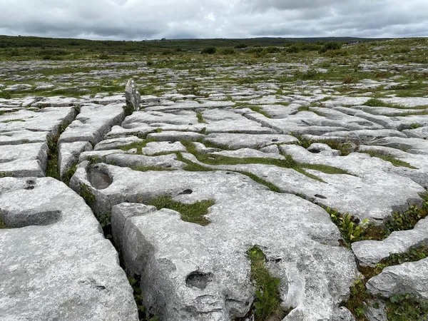 İrlanda 'daki Burren Ulusal Parkı