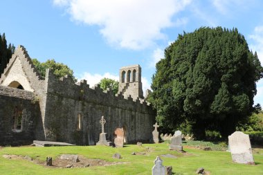 Malahide Abbey, İrlanda 'nın ortaçağ kalıntıları