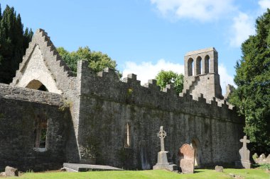 Malahide Abbey, İrlanda 'nın ortaçağ kalıntıları