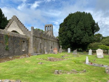 Malahide Abbey, İrlanda 'nın ortaçağ kalıntıları