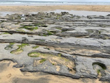 Denizin ham ve vahşi güzelliği Fanore Sahili 'nde yok oldu.