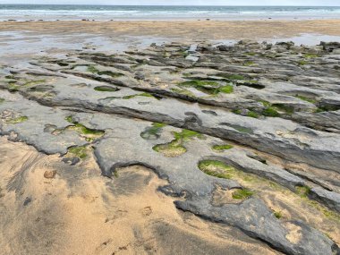 Denizin ham ve vahşi güzelliği Fanore Sahili 'nde yok oldu.