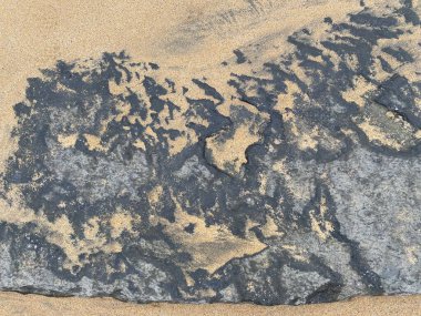 Denizin ham ve vahşi güzelliği Fanore Sahili 'nde yok oldu.