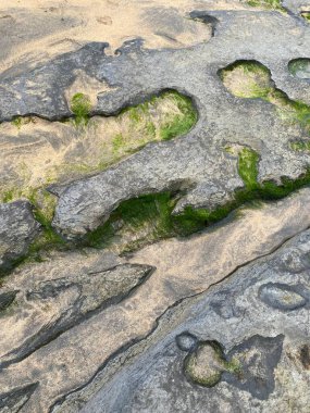 Denizin ham ve vahşi güzelliği Fanore Sahili 'nde yok oldu.