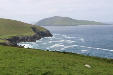 İrlanda 'daki vahşi Dingle Yarımadası' nın muhteşem manzarası