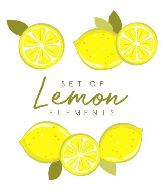 Taze limon meyve, vektör resimler koleksiyonu kümesi