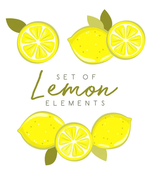 Set buah lemon segar, koleksi gambar vektor - Stok Vektor