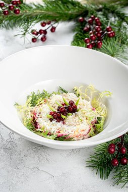 Kürk mantonun altında taze otlarla ringa salatası. Yakın çekim.