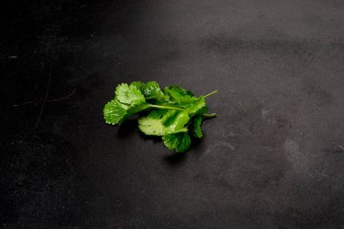 Siyah arka planda taze, yeşil maydanoz resmi.